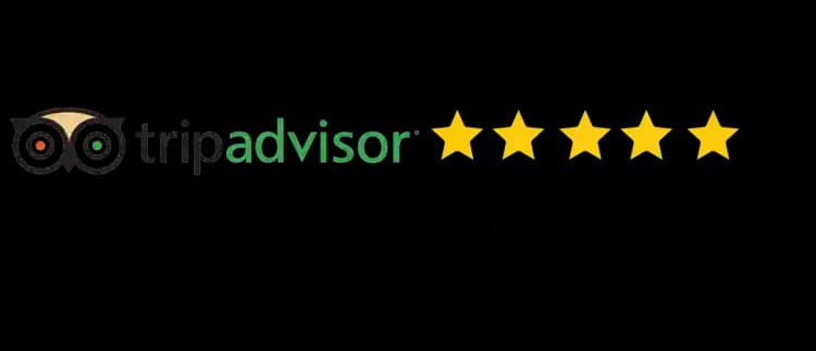 TripAdvisor